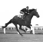 Two Champions at work: Mulley and Bernborough.